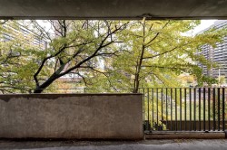 Balcon - 