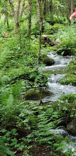 Autre - 5072 Ch. Lost River, Harrington, QC - Outdoor