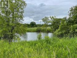 1744 BALKWILL LINE  Severn, ON L0K 1E0