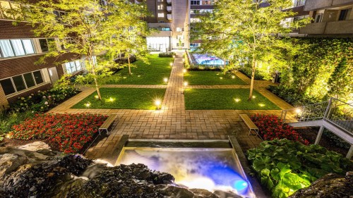 Jardin - 1803-3450 Rue Drummond, Montréal (Ville-Marie), QC - Outdoor
