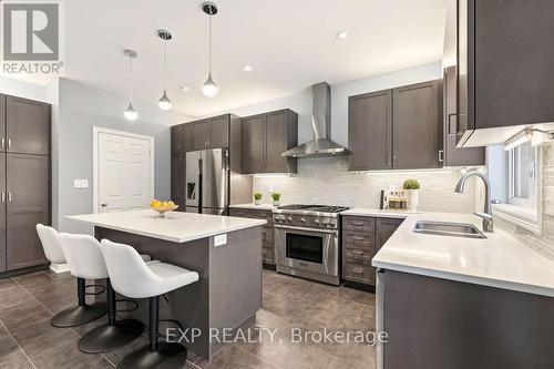 222 Blair Creek Drive, Kitchener, ON - Indoor Photo Showing Kitchen With Double Sink With Upgraded Kitchen