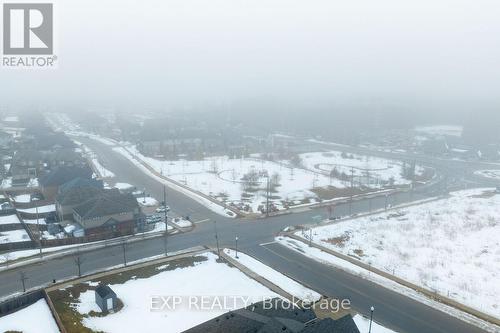 222 Blair Creek Drive, Kitchener, ON - Outdoor With View
