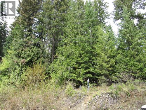 Lot 19 Nelson Rural 08182.190 Lot# 19, Bonnington Falls, BC 