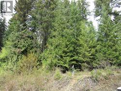 Lot 19 Nelson Rural 08182.190 Lot# 19 Bonnington Falls, BC V0G 2G3