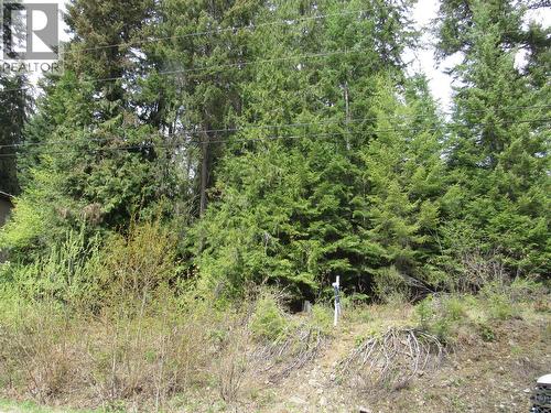 Lot 19 Nelson Rural 08182.190 Lot# 19, Bonnington Falls, BC 