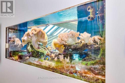 5859 Riverside Place, Mississauga, ON - Other