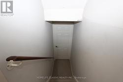 Basement entrance door - 