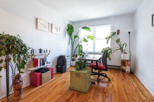 Living Room - 5644  - 5646 Rue Chabot, Montréal (Rosemont/La Petite-Patrie), QC 