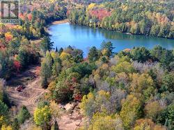 26457 HWY 62 HIGHWAY Bancroft (Dungannon Ward), ON K0L 1C0
