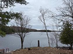 36 E ST OLA LAKE SHORE E  Limerick, ON K0L 1W0