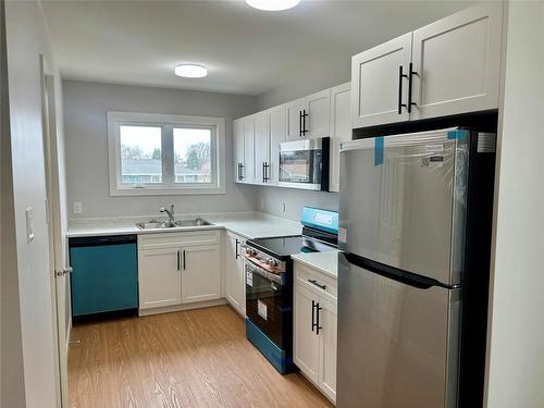 Each suite kitchen with 4 piece appls package - 1536 9Th Street, Brandon, MB - Indoor Photo Showing Kitchen With Double Sink
