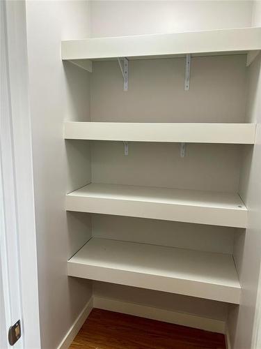 Kitchen pantry - 1536 9Th Street, Brandon, MB - Indoor With Storage