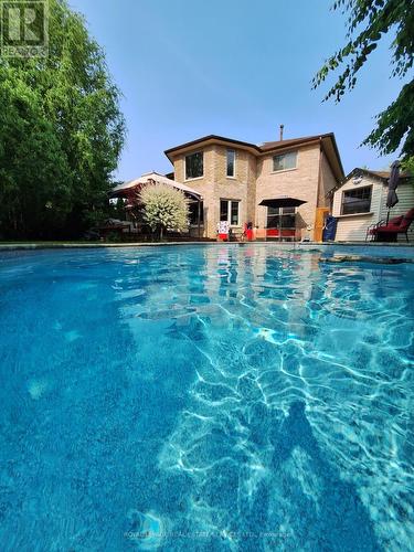 Stunning Pool, new in 2016 - 1279 Old English Lane, Oakville, ON - Outdoor With In Ground Pool