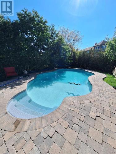 Interlock surround, Salt water - 1279 Old English Lane, Oakville, ON - Outdoor With In Ground Pool With Backyard