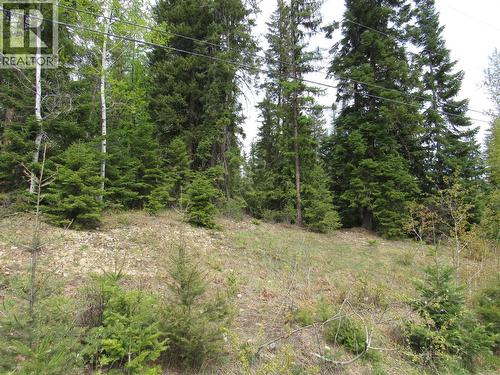 Lot 14 Nelson Rural 08182.140 Lot# 14, Bonnington Falls, BC 