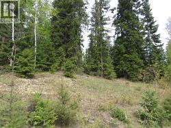Lot 14 Nelson Rural 08182.140 Lot# 14 Bonnington Falls, BC V0G 2G3