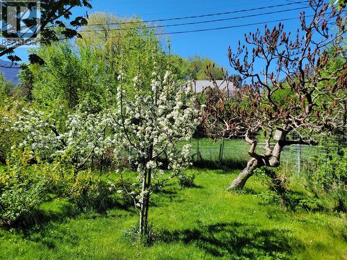 Fruit Trees - 2626 Highway 3, Keremeos, BC 