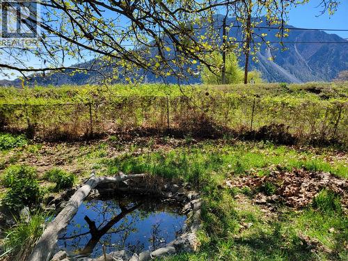 Pond - 2626 Highway 3, Keremeos, BC 