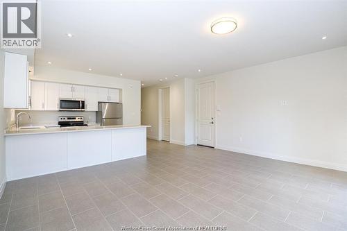 233 Watson Unit# 201, Windsor, ON - Indoor Photo Showing Kitchen