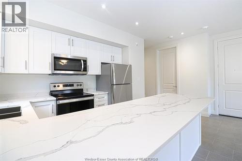 233 Watson Unit# 201, Windsor, ON - Indoor Photo Showing Kitchen With Double Sink