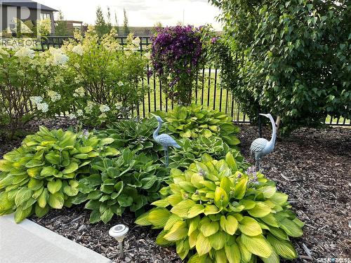 803 Salloum Crescent, Saskatoon, SK - Outdoor