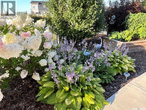 803 Salloum Crescent, Saskatoon, SK - Outdoor