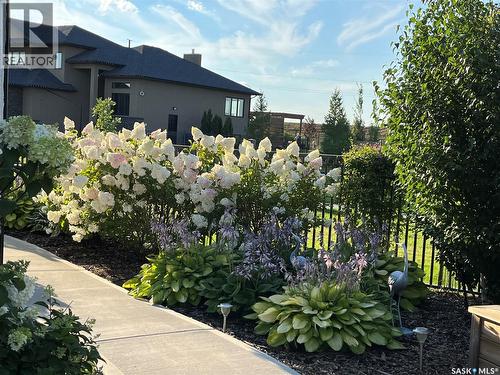 803 Salloum Crescent, Saskatoon, SK - Outdoor