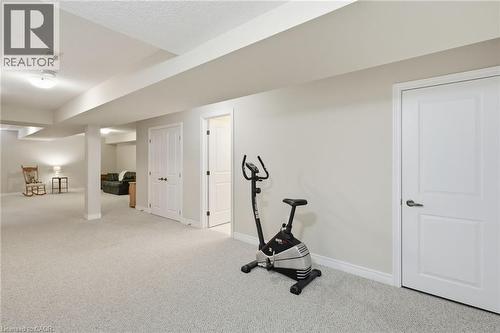 3 Ecker Lane, Binbrook, ON - Indoor Photo Showing Gym Room