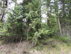 Lot 6 Thompson Road Bonnington Falls, BC V0G 2G3