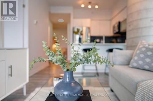 506 - 150 East Liberty Street, Toronto, ON - Indoor Photo Showing Other Room