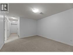 Family room in basement - 