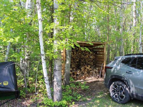 51 Grant Dr, Rainy River, ON - Outdoor