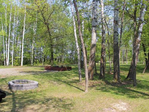 51 Grant Dr, Rainy River, ON - Outdoor With View