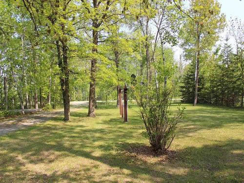51 Grant Dr, Rainy River, ON - Outdoor With View