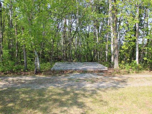 51 Grant Dr, Rainy River, ON - Outdoor