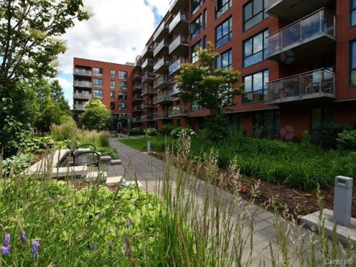 Other - 113-905 Av. Plymouth, Mont-Royal, QC - Outdoor