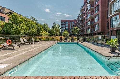 Pool - 113-905 Av. Plymouth, Mont-Royal, QC - Outdoor With In Ground Pool