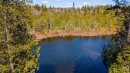Photo aérienne - Ch. Du Petit-Pont, Saint-Adolphe-D'Howard, QC 