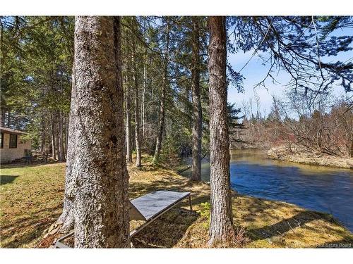 42 Palmer Brown Rd, Penobsquis, NB 