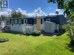 Back yard - 