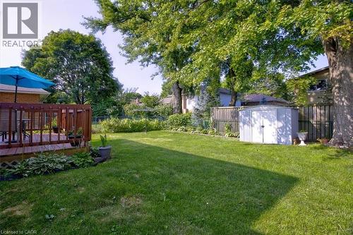 Backyard with deck and shed. - 12 Miller Crescent, Simcoe, ON - Outdoor With Deck Patio Veranda With Backyard