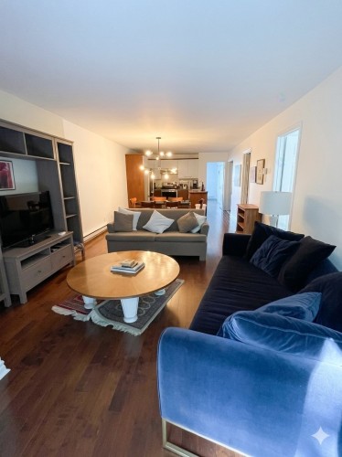 Overall view - 3528 Av. Coloniale, Montréal (Le Plateau-Mont-Royal), QC - Indoor Photo Showing Living Room
