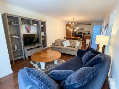 Living Room - 3528 Av. Coloniale, Montréal (Le Plateau-Mont-Royal), QC - Indoor Photo Showing Living Room