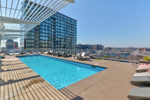 Pool - 404-738 Rue St-Paul O., Montréal (Ville-Marie), QC - Outdoor With In Ground Pool