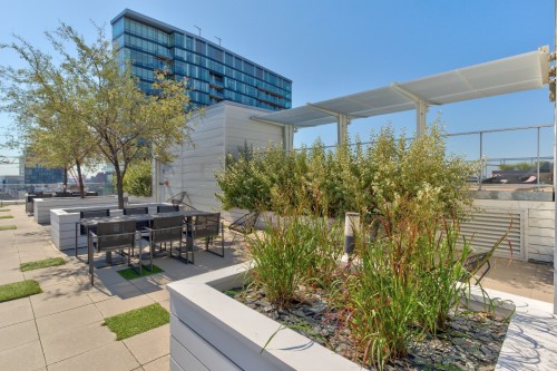 Patio - 404-738 Rue St-Paul O., Montréal (Ville-Marie), QC - Outdoor