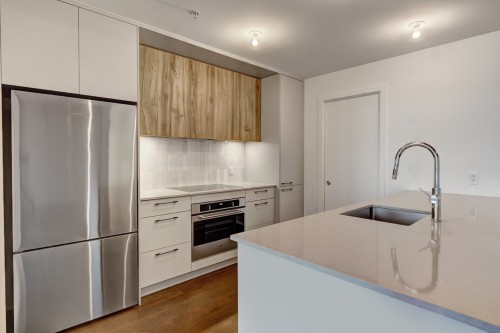 Cuisine - 219-7227 Boul. Newman, Montréal (Lasalle), QC - Indoor Photo Showing Kitchen With Upgraded Kitchen