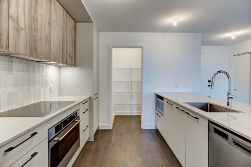 Cuisine - 219-7227 Boul. Newman, Montréal (Lasalle), QC - Indoor Photo Showing Kitchen With Upgraded Kitchen