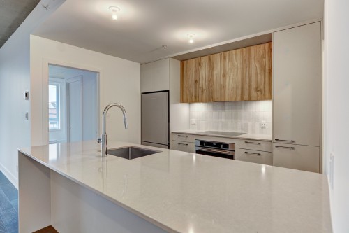 Cuisine - 219-7227 Boul. Newman, Montréal (Lasalle), QC - Indoor Photo Showing Kitchen With Upgraded Kitchen