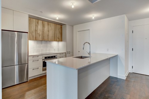 Cuisine - 219-7227 Boul. Newman, Montréal (Lasalle), QC - Indoor Photo Showing Kitchen With Upgraded Kitchen
