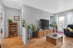 Living Room - 